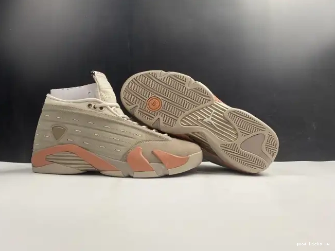 AIR Terra DC9857-200 Blush Clot 14 Jordan Low Retro 0614